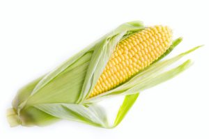 Kā vārīt kukurūzu, lai tā izdotos mīksta un sulīga