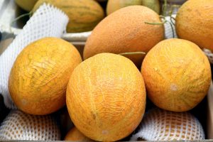 Kā audzēt melones Latvijā