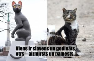 Vai zināji, ka savainotiem dzīvniekiem Latvijā nav valsts atbalsta?